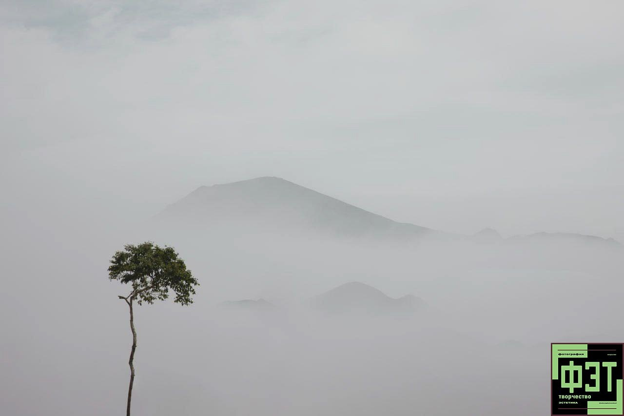 Март 2026. Автор месяца проект ФЭТ: Фотография Эстетика Творчество