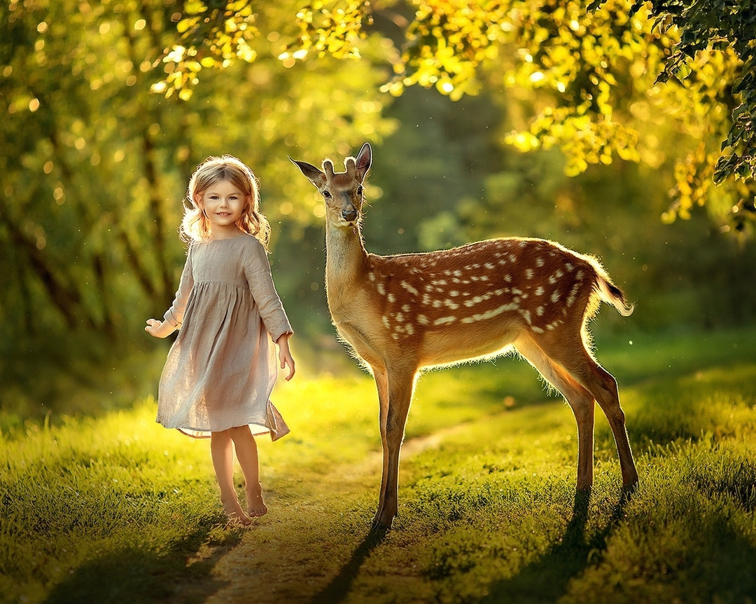 La guida gratis. Fotografa Elena Mikhailova