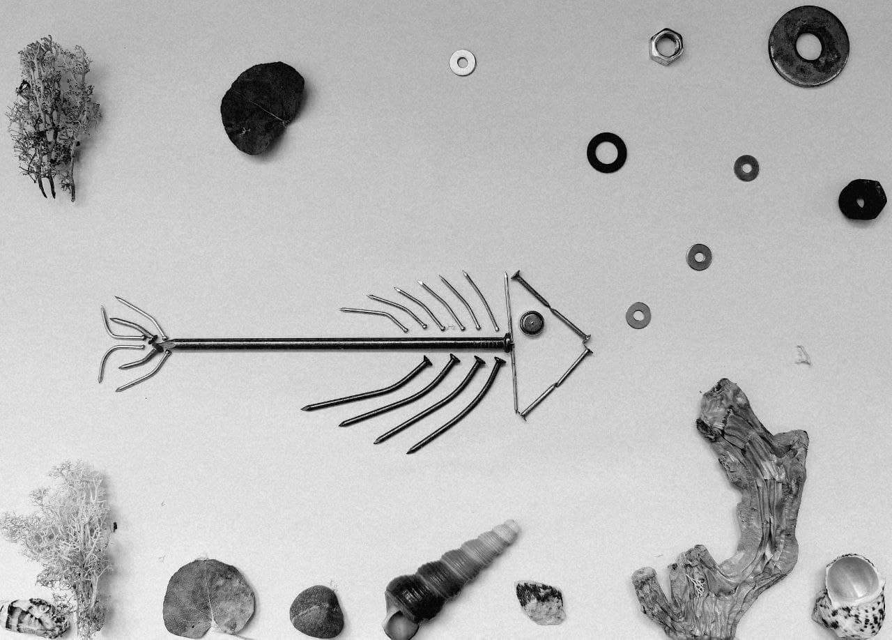 Курс «С нуля»