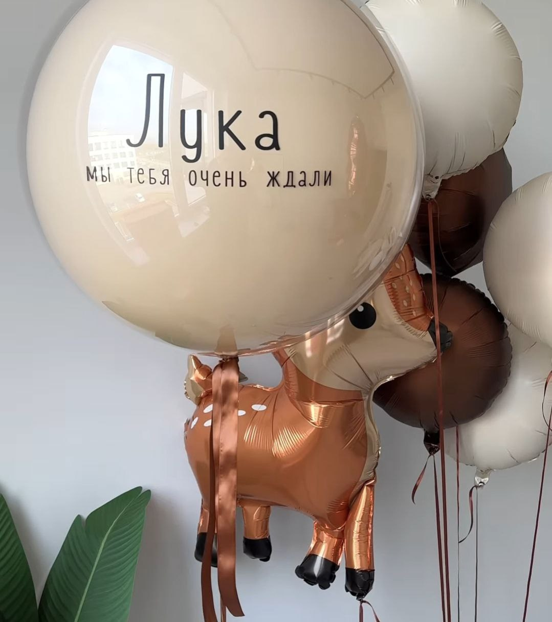 Odalazak iz porodilista prodavnica balona Novi Sad prodavnica balona Beograd. Шары с гелием, фотозоны Нови Сад Белград. Balone i dekoracije od balona Novi Sad Beograd