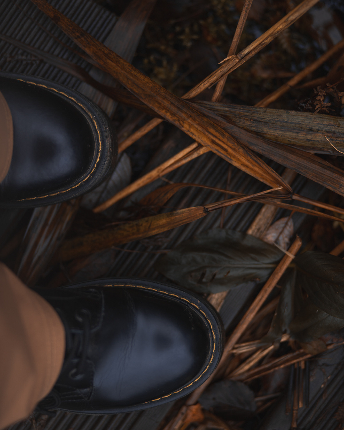 Мини прогулка осень. Семейный фотограф в Санкт-Петербурге Ирина Иванова