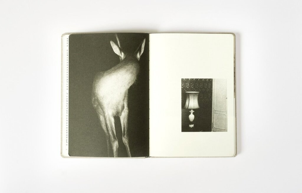 Книга Ронит Порат «Hunting in Time». Private image