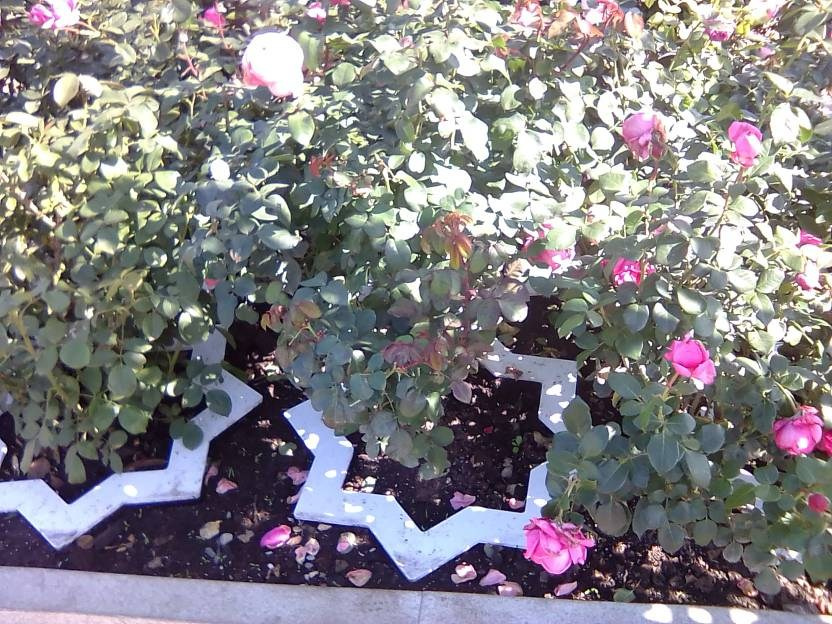 ВНИМАНИЕ! ФЕСТИВАЛЬ ЛАНДШАФТНОГО СТРОИТЕЛЬСТВА. 俄罗斯设计估算