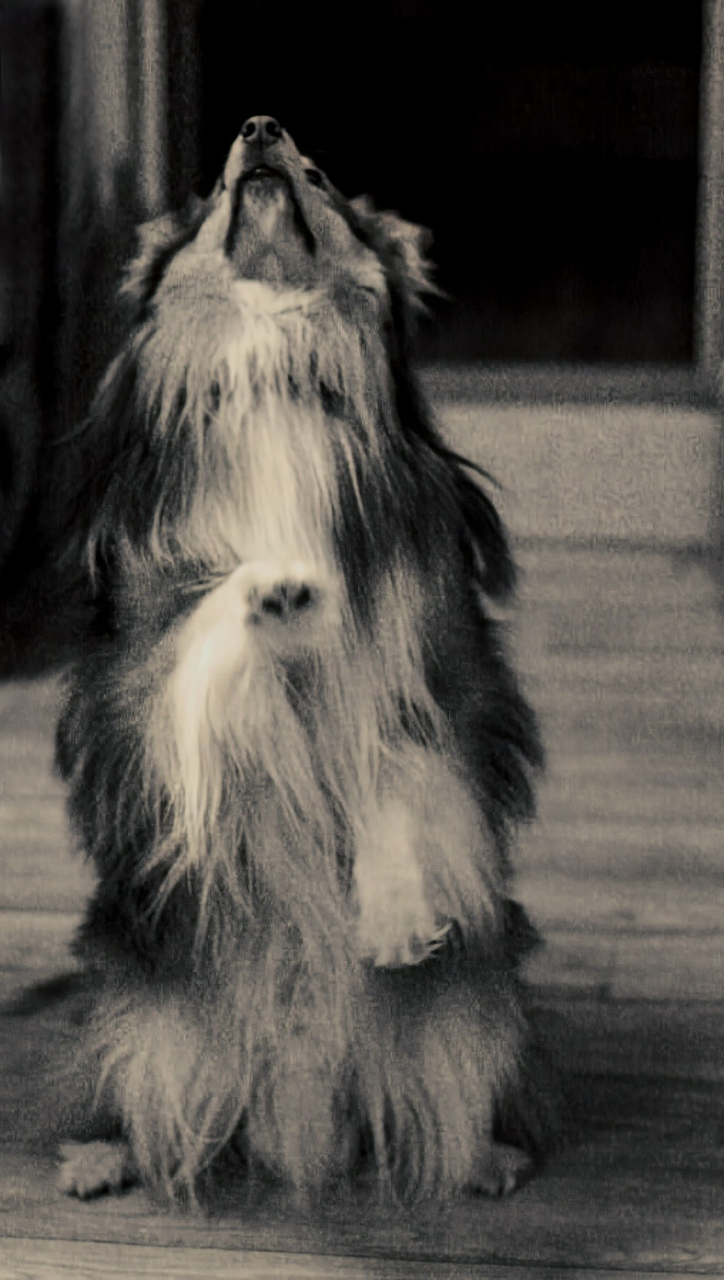 Катя Попова|ЛайфСтайл фотограф