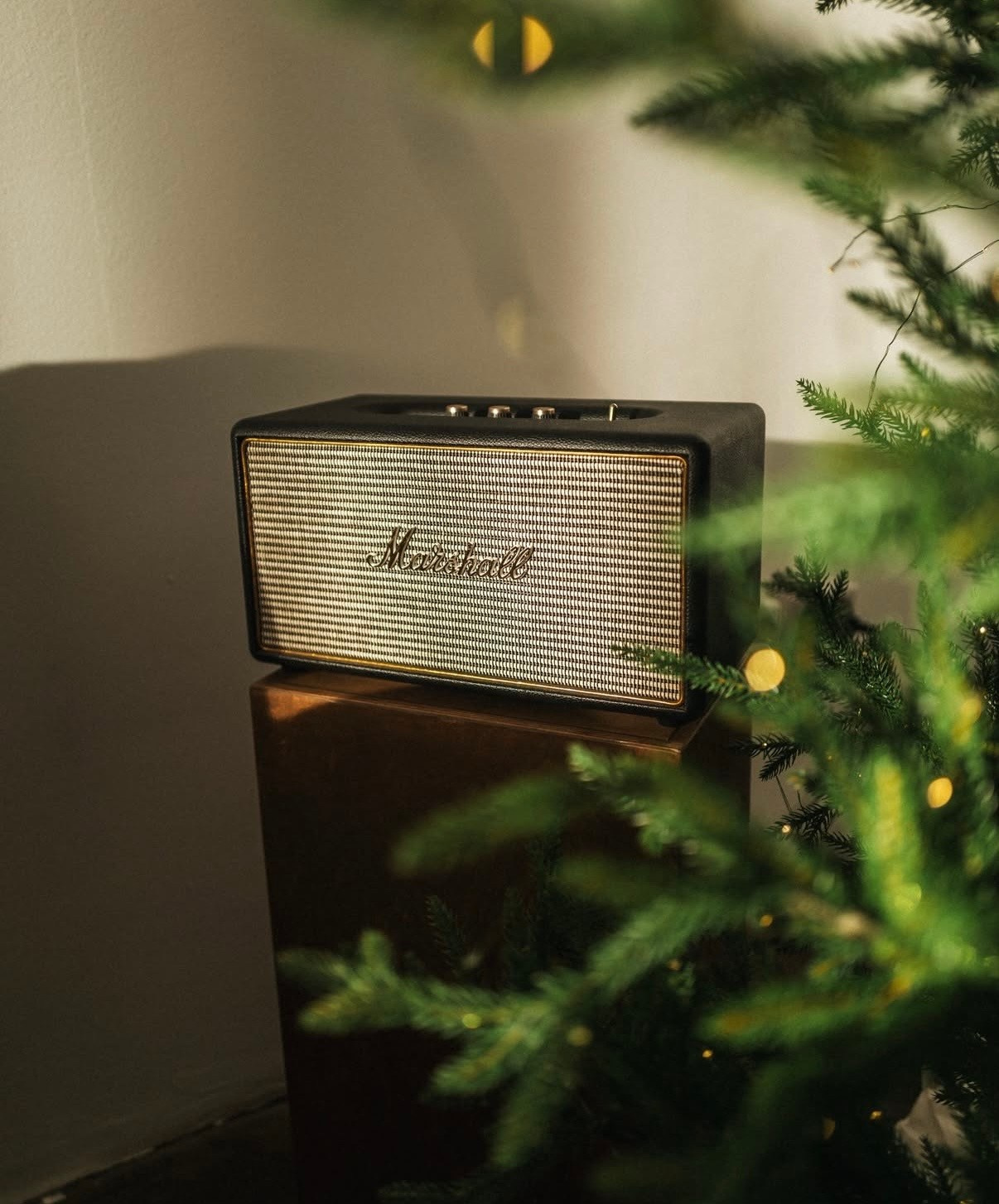 Новогодние фотостудии 2026. Семейный и детский фотограф в Бресте Дария Поляк