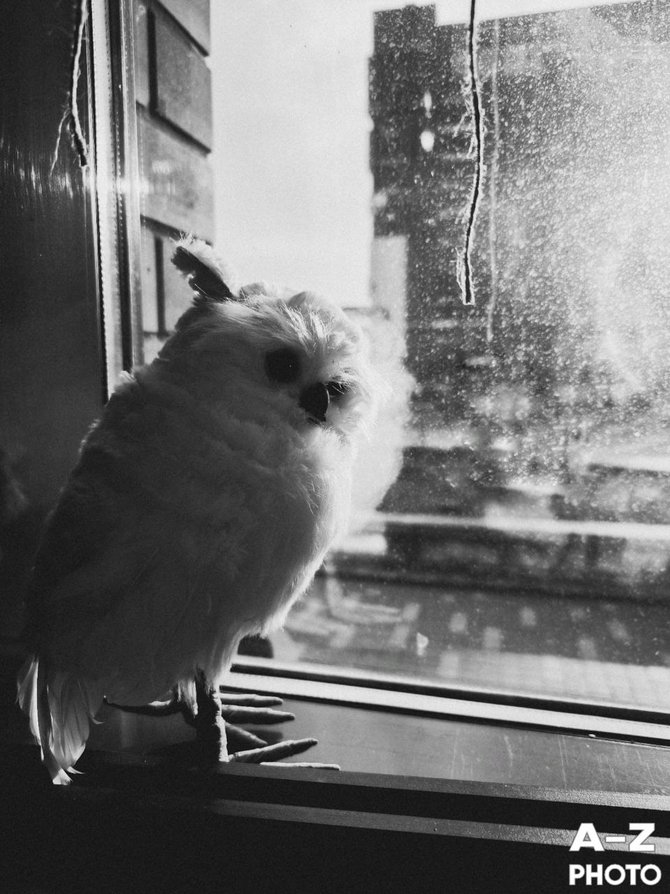 #ФОТОНЕДЕЛИ 30.03.2026. Женский семейный фотограф Тула Москва Захарова Анна