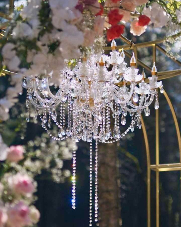 Моя команда. Организация свадеб и вечеринок