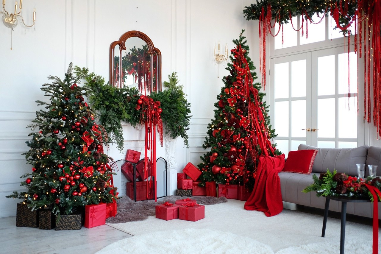 Новогодние залы. Семейный и женский фотограф в Воронеже Ольга Попова