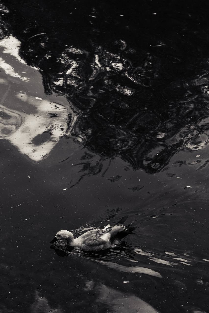 Фотолагерь для фотографов и не только. ARTDARY | Фотограф Дарья Грицай