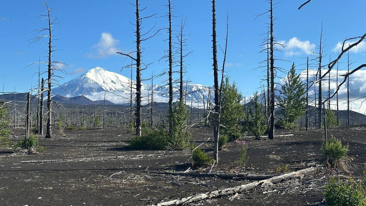 Толбачик. Экскурсионные туры по Камчатке