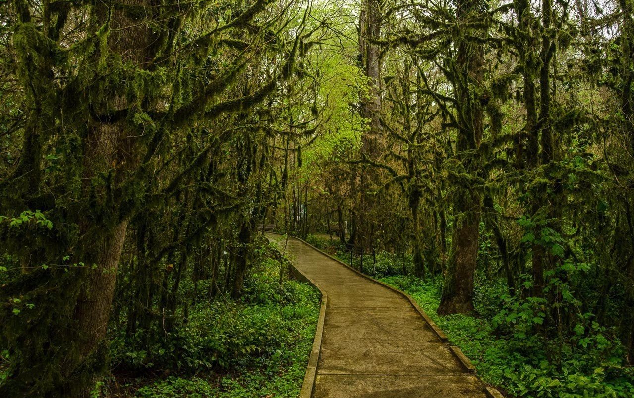 Обучающий фототур в Абхазию 20–25 февраля 2026. Детский и семейный фотограф Елена Михайлова в Москве