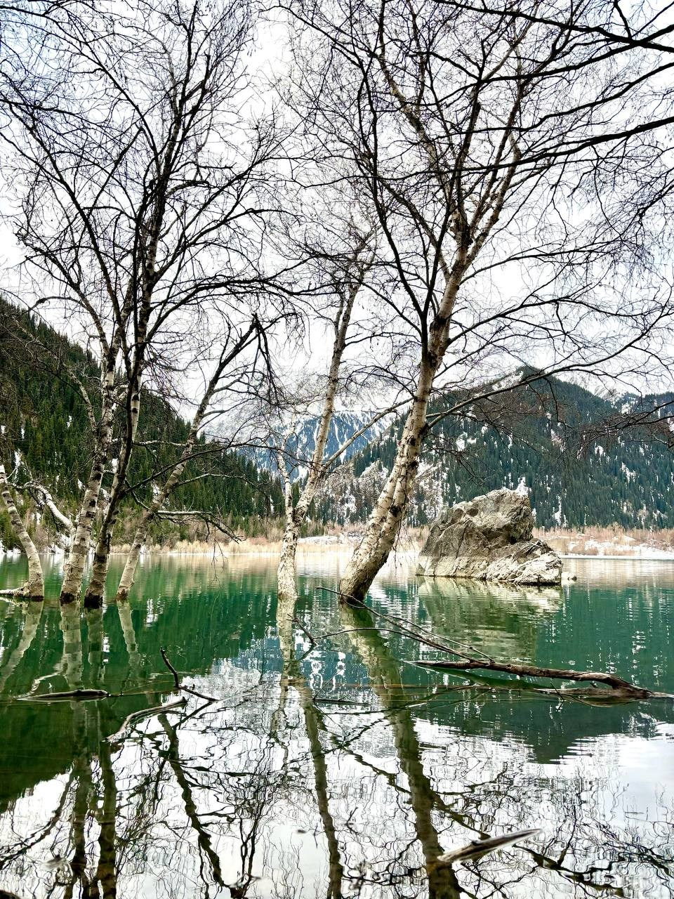 Melon Travel в Алматы: экскурсии и джип туры в Чарынский каньон, озера Каинды, Кольсай, Иссык, национальный парк Алтын Эмель