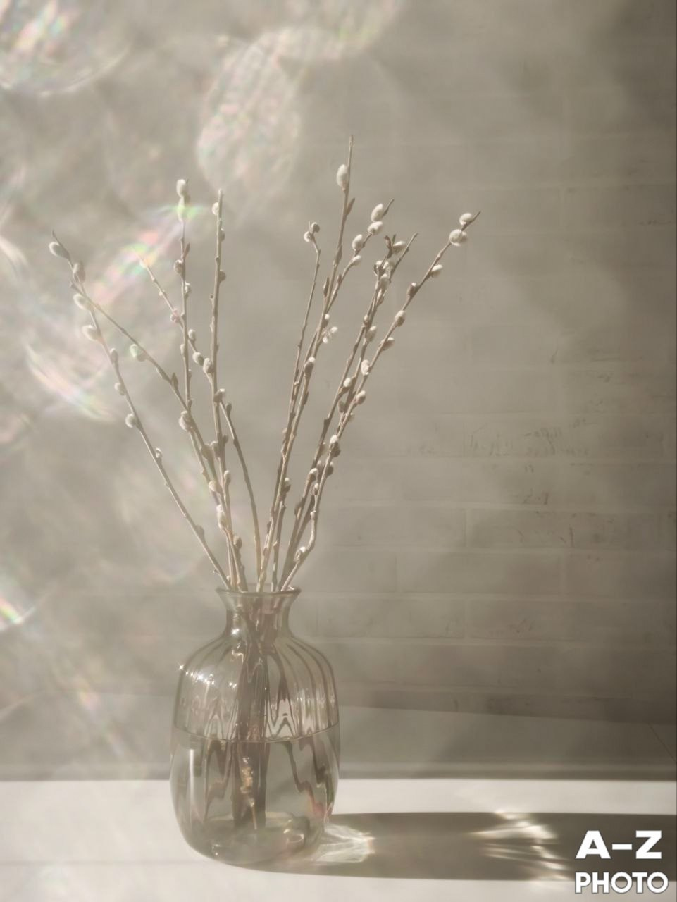 #ФОТОНЕДЕЛИ 06.04.2026. Женский семейный фотограф Тула Москва Захарова Анна