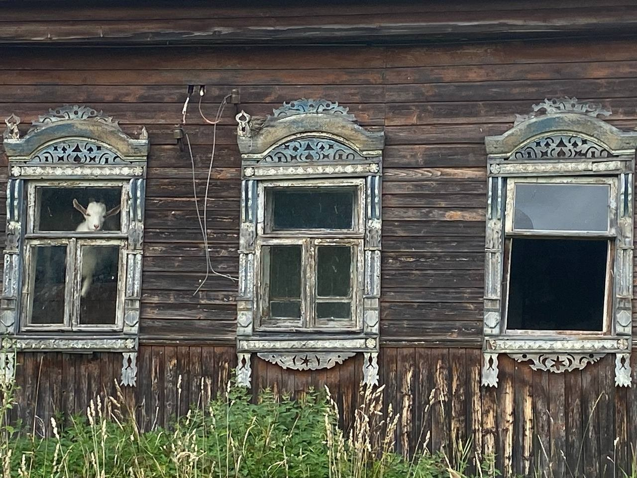 Резиденция Twin Ples 2024. Лилия Ким. Междисциплинарный художник