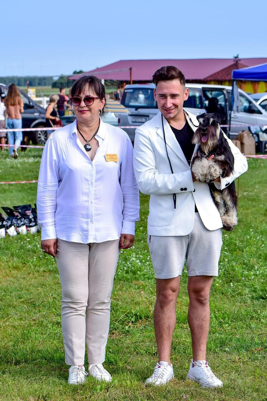 Гелик/ Delinso Balance Enamorado De-Ti. Питомник цвергшнауцеров в Беларуси «Делинсо Бэлэнс»