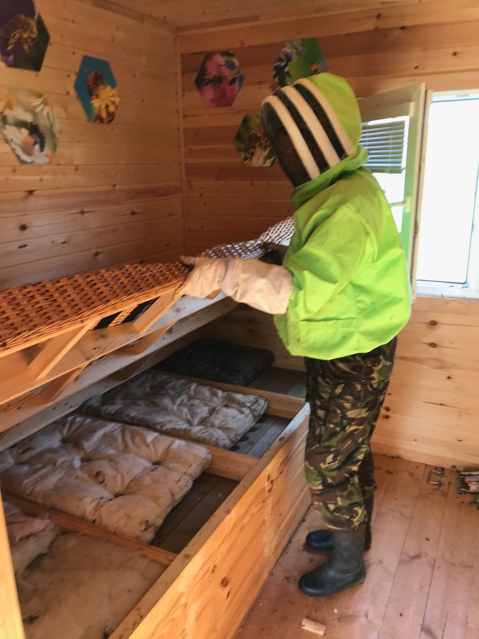 Апидомик в Подмосковье. Эко отдых в Подмосковье в эко-отеле Марии Гиппенрейтер