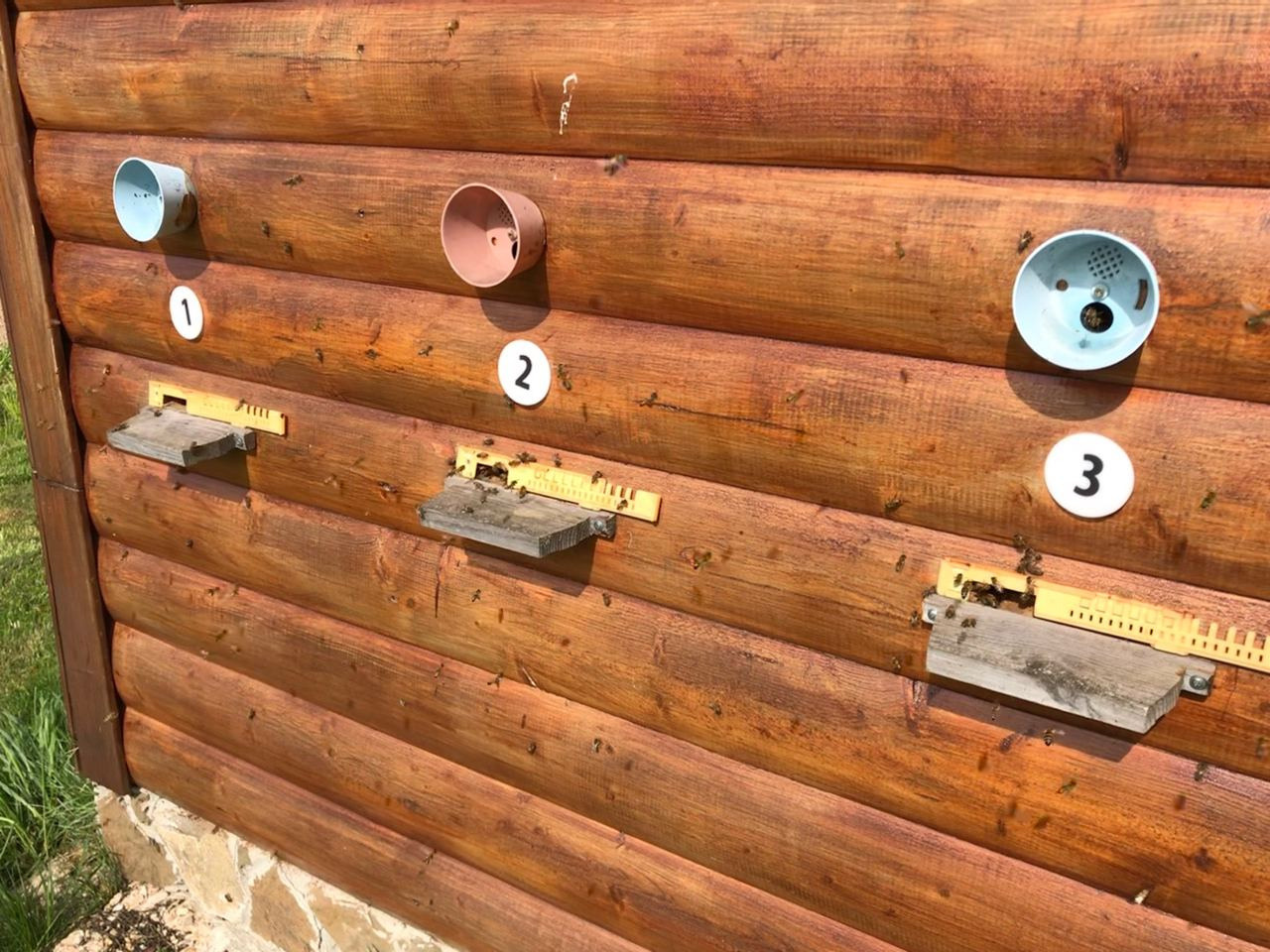 Апидомик в Подмосковье. Эко отдых в Подмосковье в эко-отеле Марии Гиппенрейтер