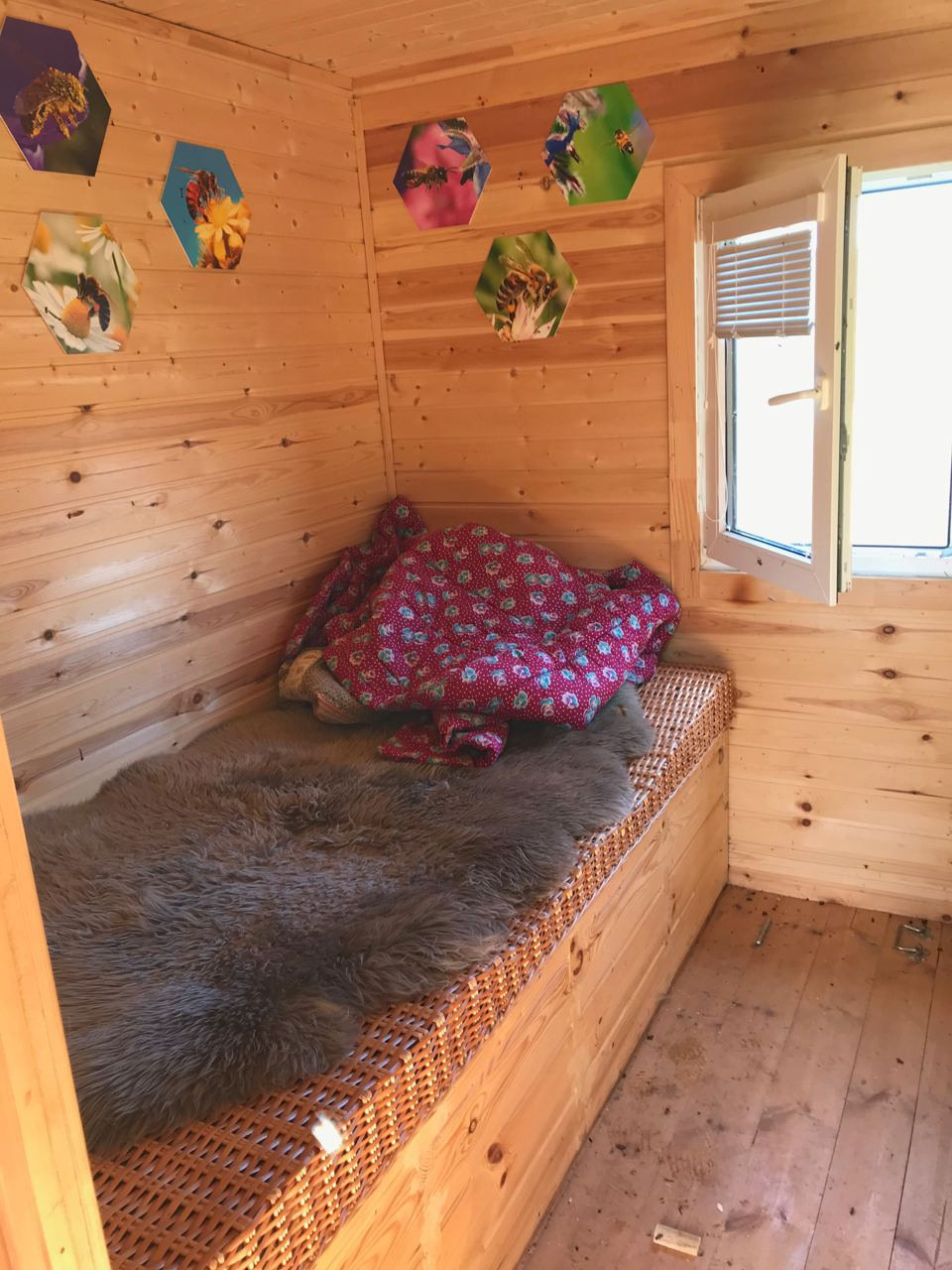 Апидомик в Подмосковье. Эко отдых в Подмосковье в эко-отеле Марии Гиппенрейтер