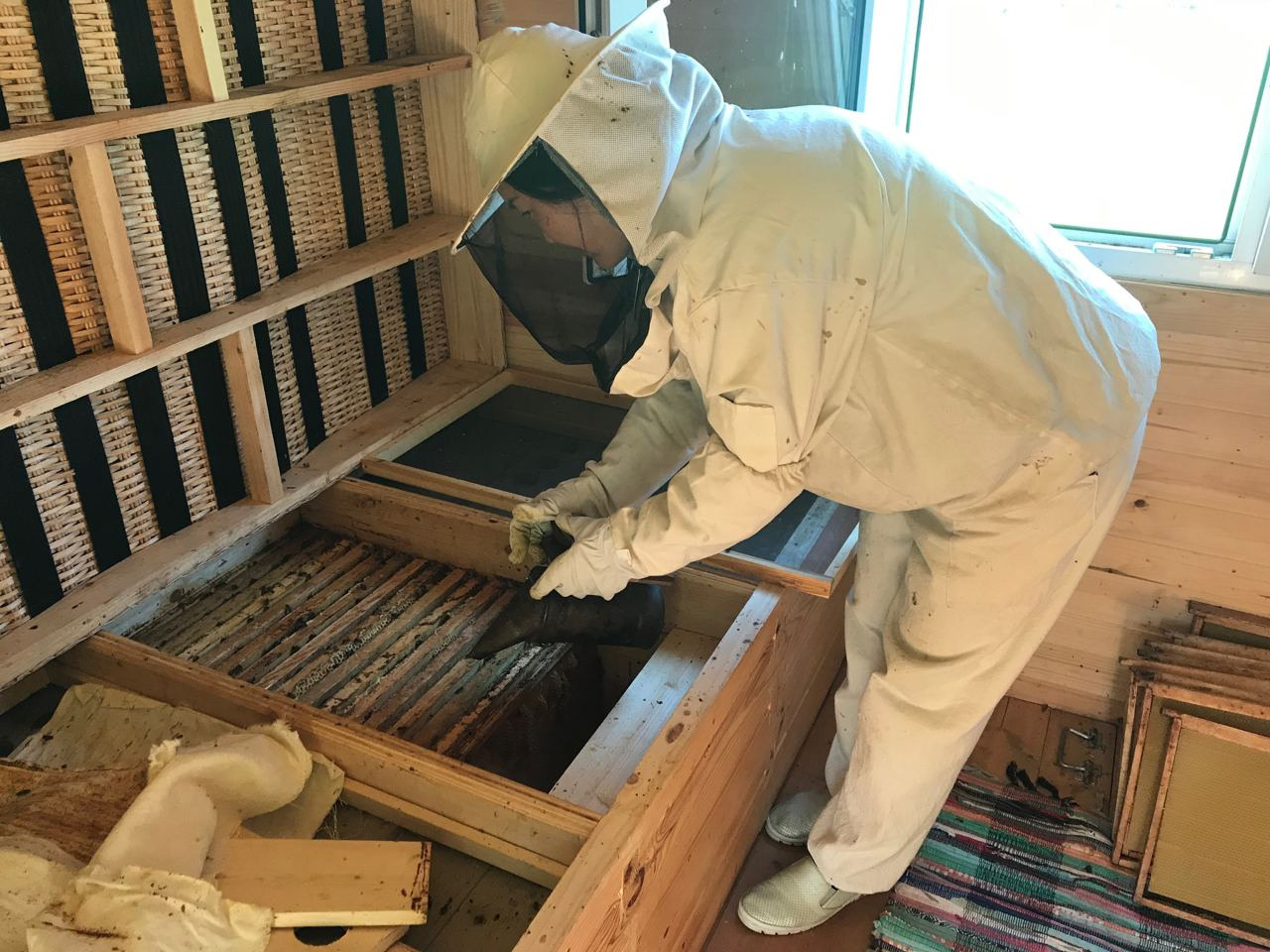 Апидомик в Подмосковье. Эко отдых в Подмосковье в эко-отеле Марии Гиппенрейтер