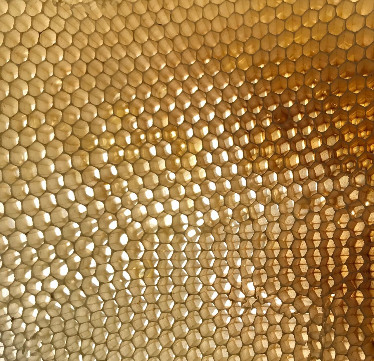 Пасека экофермы и работы на ней. Эко отдых в Подмосковье в эко-отеле Марии Гиппенрейтер