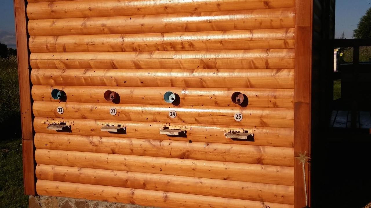 Апидомик в Подмосковье. Эко отдых в Подмосковье в эко-отеле Марии Гиппенрейтер