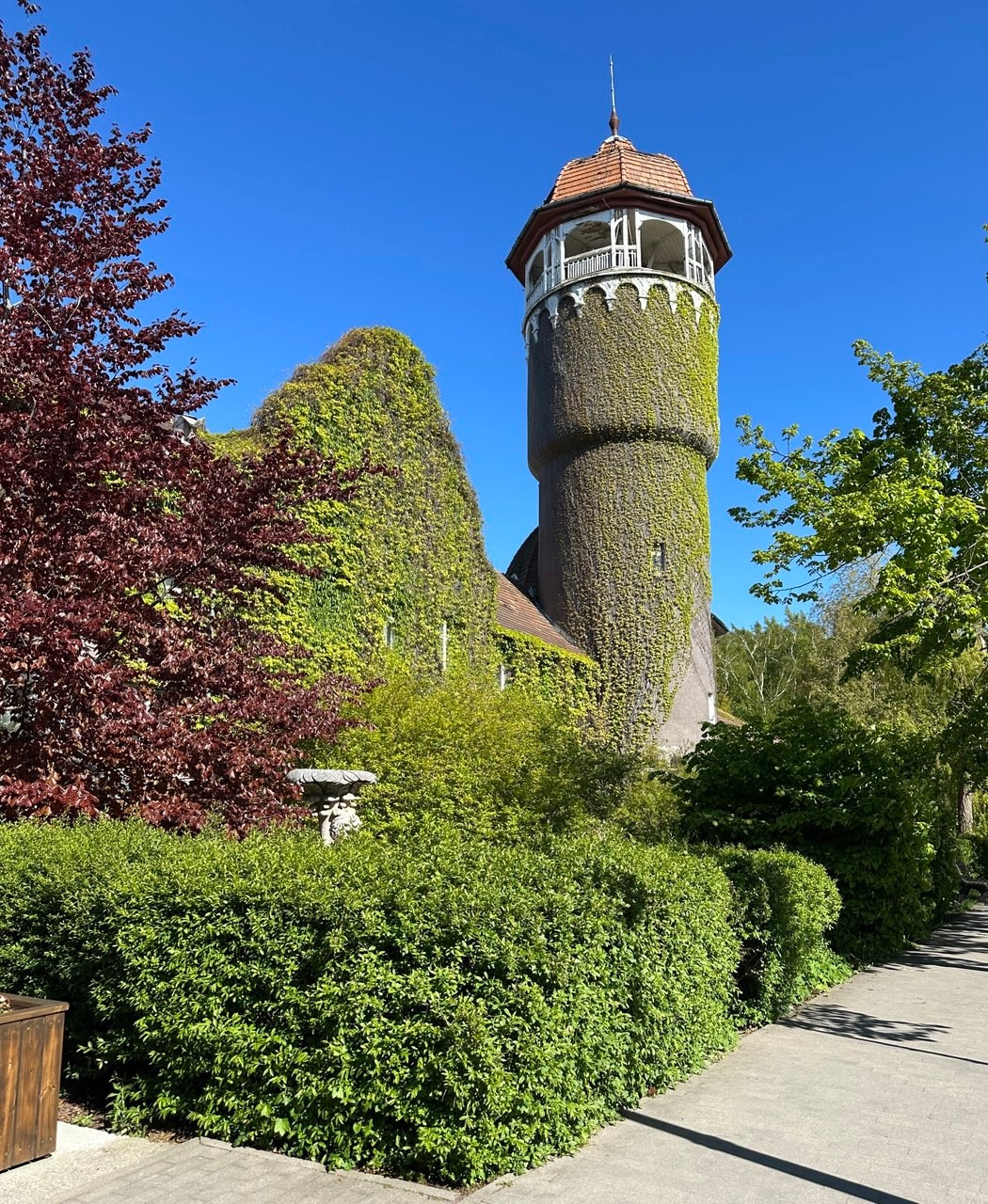 Фототур «Свет янтаря в сердце Балтики». Ольга Котова