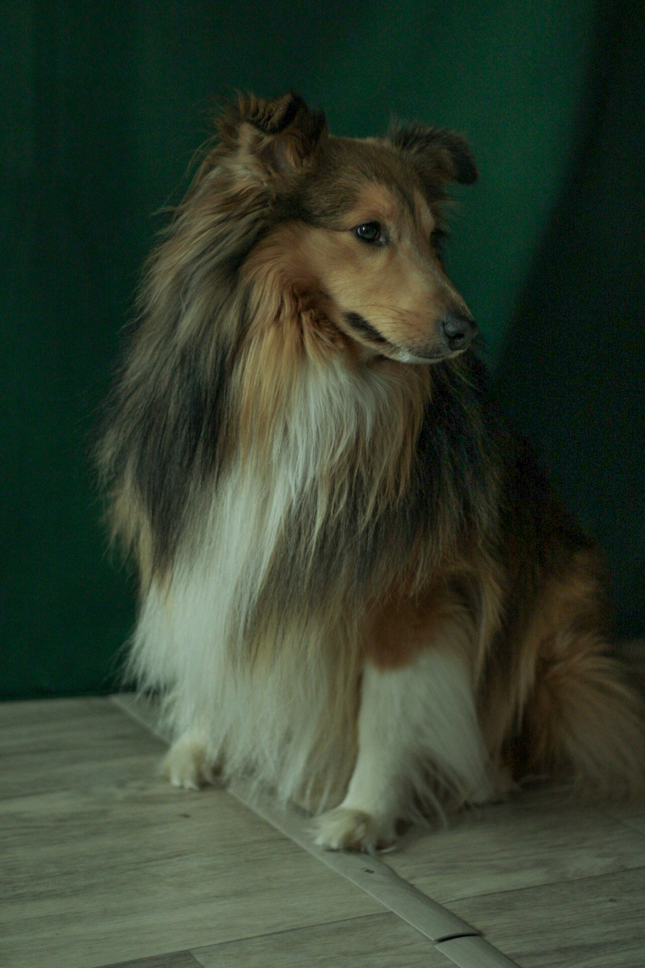 Катя Попова|ЛайфСтайл фотограф