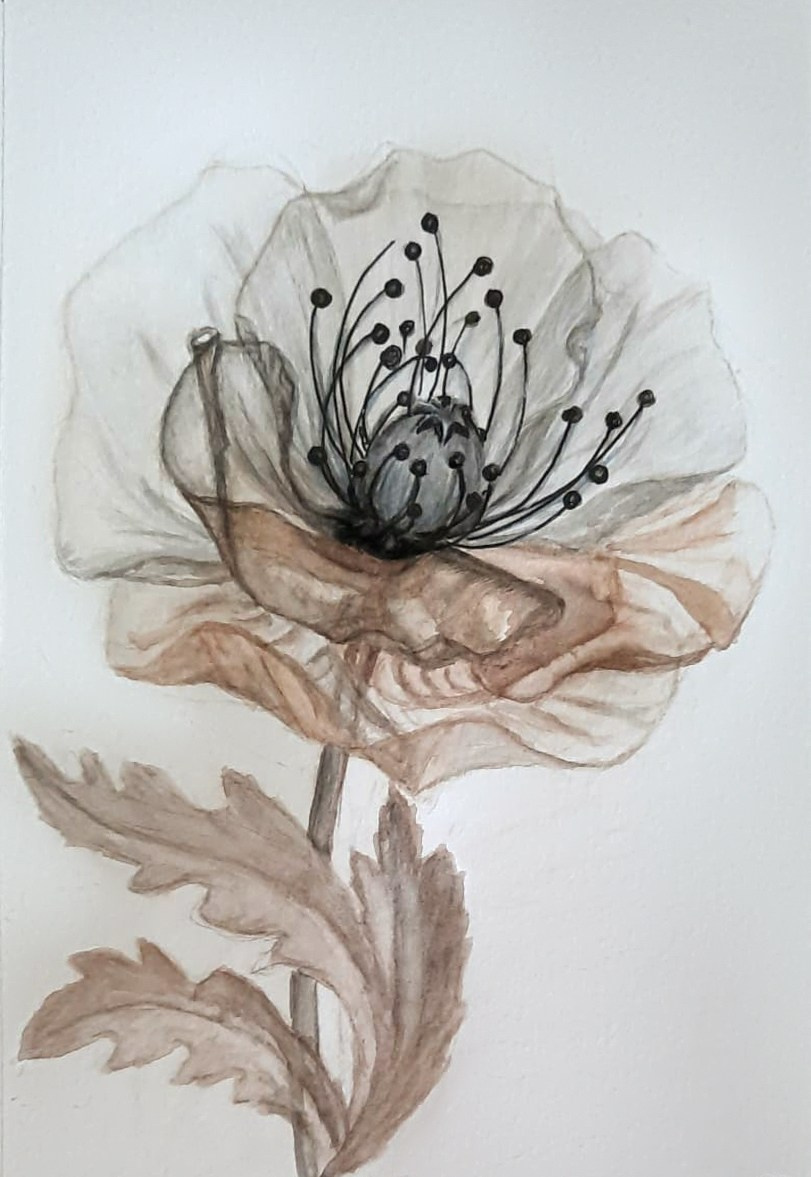 Любовь Шатунова | Интерьерная живопись. Любовь Шатунова | Портреты по фото | Пейзажи на заказ | Натюрморты | Анимализм