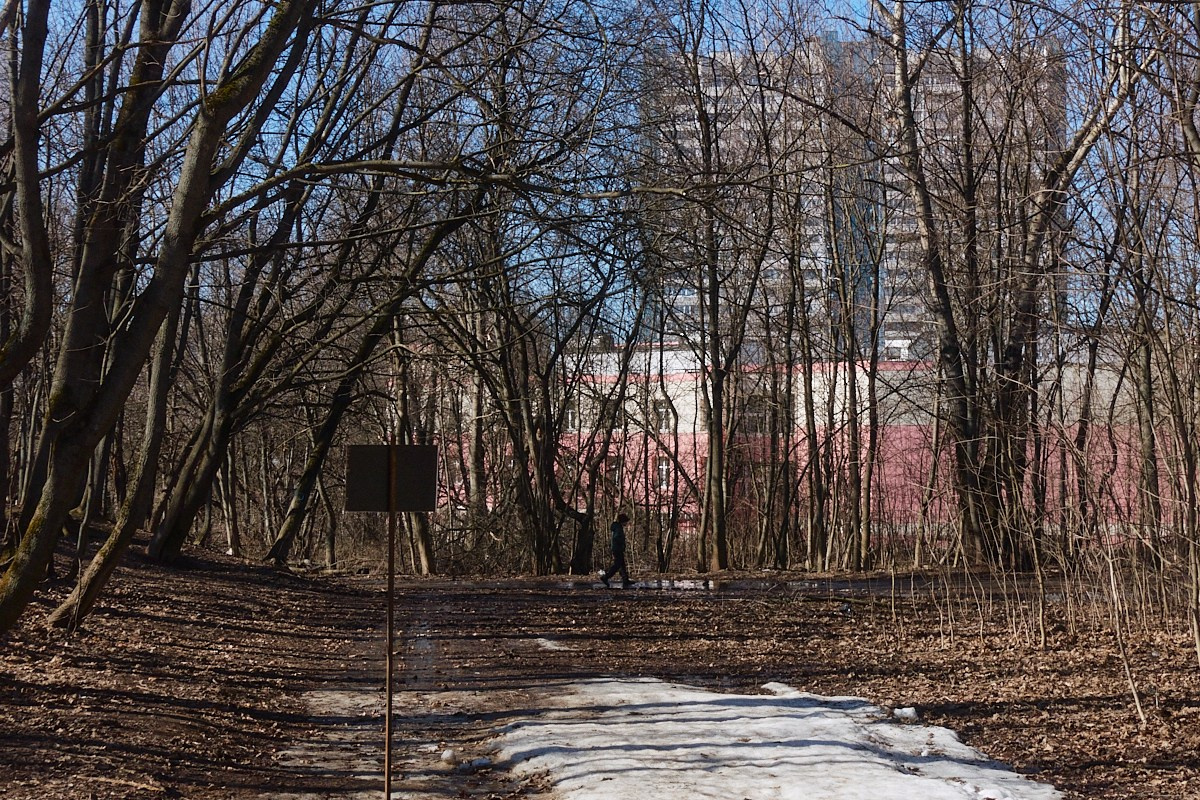 Дневной Сон. Иван Кобяков