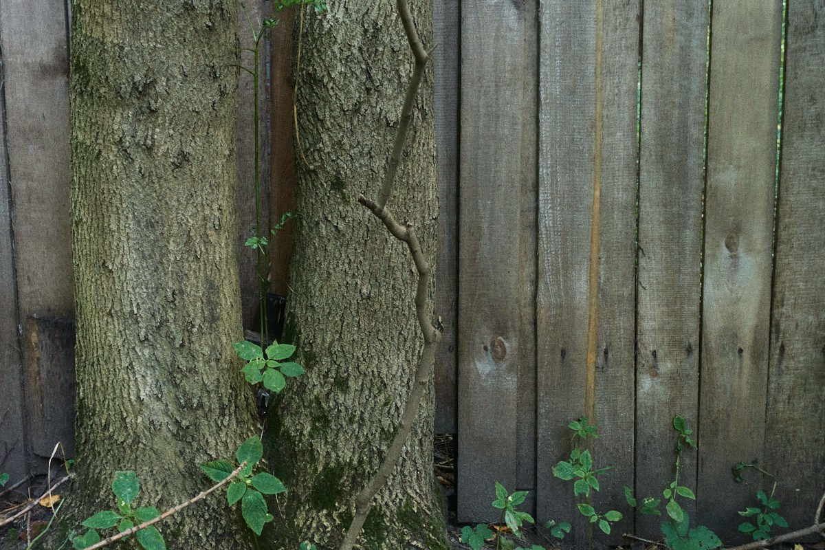 8-9/25. Иван Кобяков