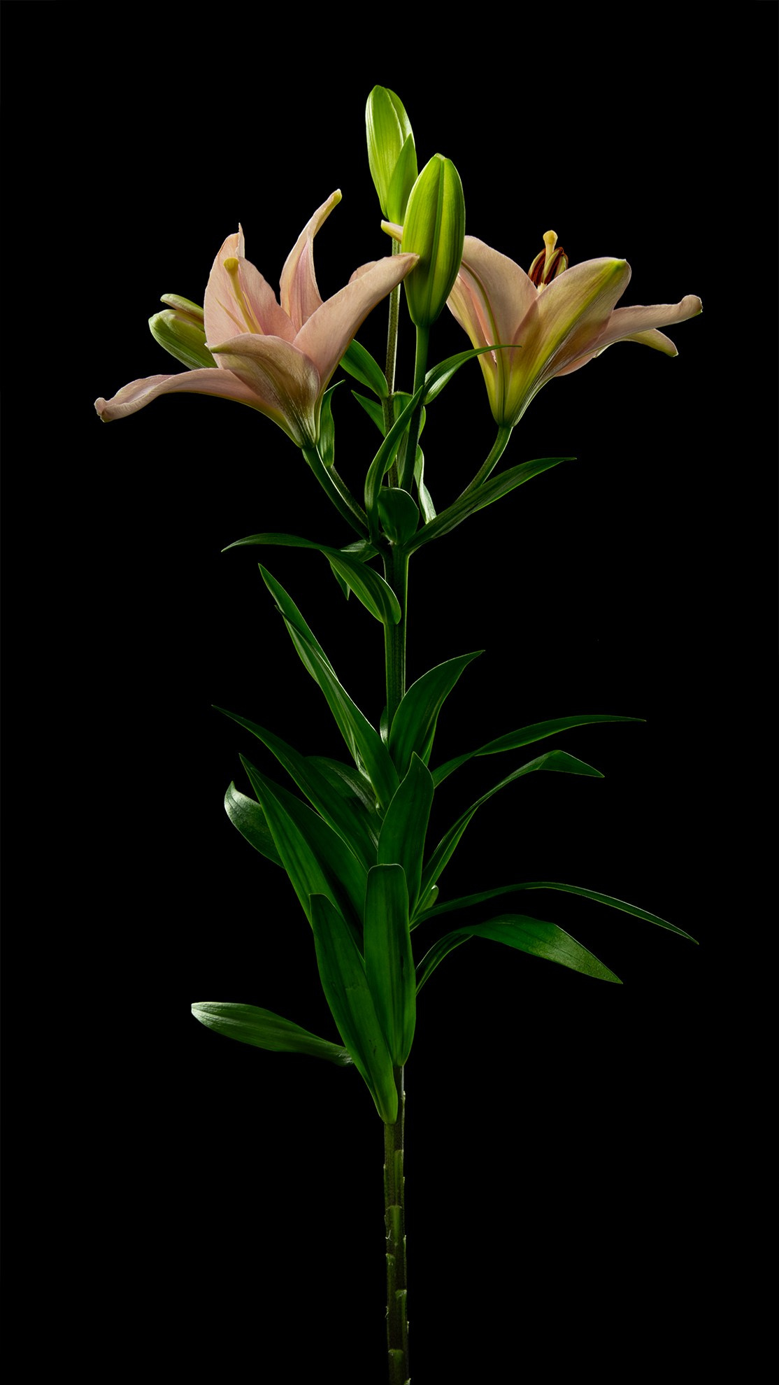 Проекты. Sakunov Photo