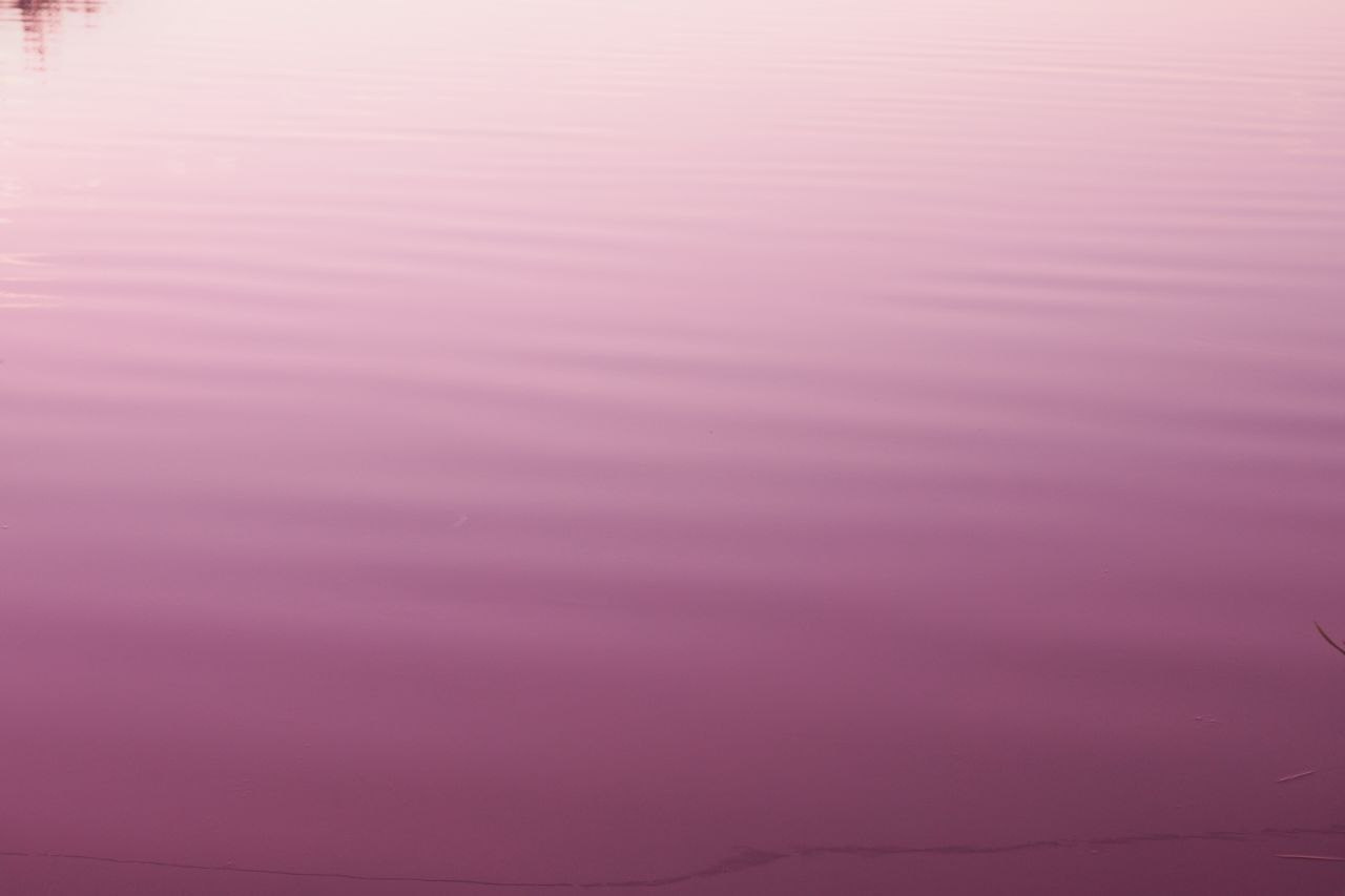 Фотолагерь для фотографов и не только. ARTDARY | Фотограф Дарья Грицай