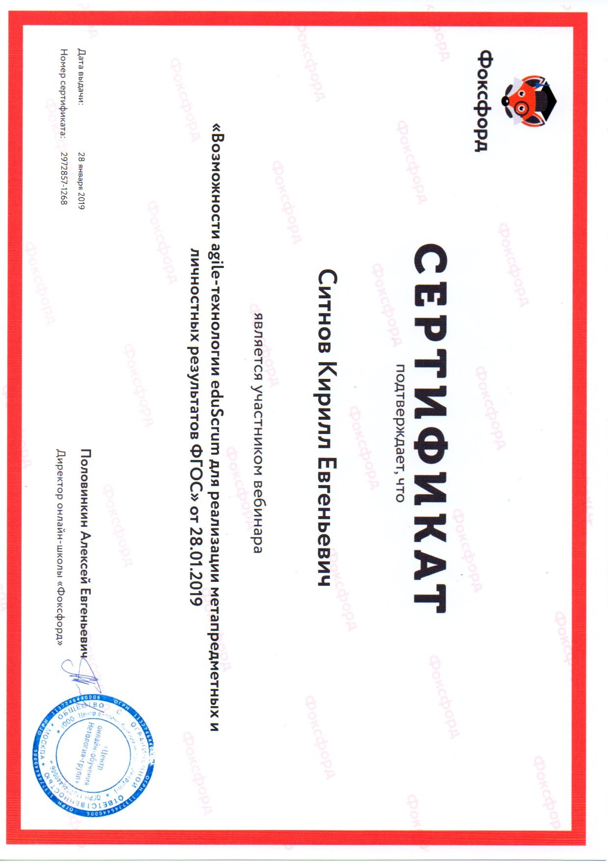 Награды и научная работа. RedGeek — фотограф, учитель и эксперт в образовании и IT Кирилл Ситнов