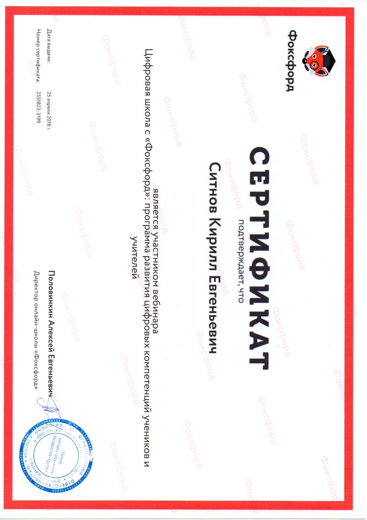 Награды и научная работа. RedGeek — фотограф, учитель и эксперт в образовании и IT Кирилл Ситнов