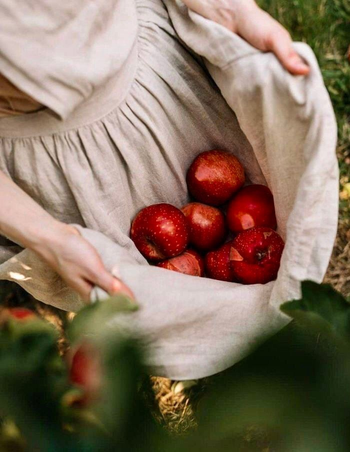 Фотопроект RED APPLES. Бусова Анастасия — фотограф беременности — Томск