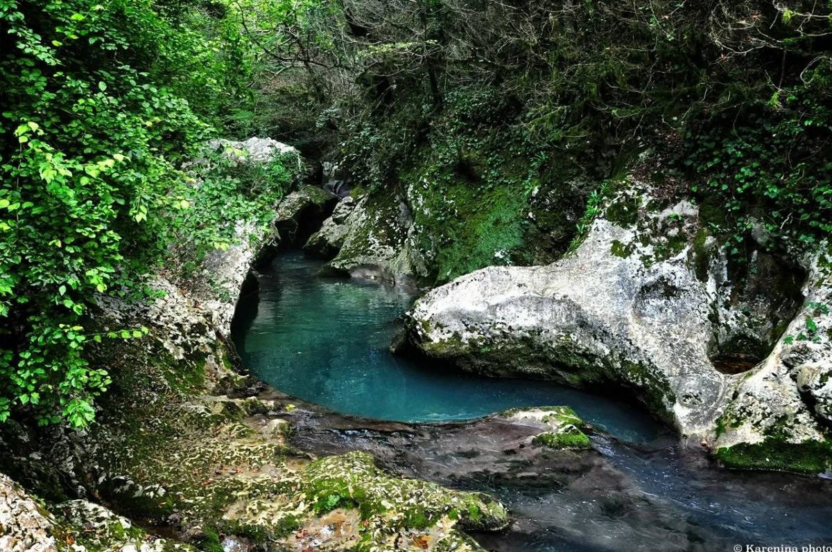 Абхазия. «Мандариновое настроение». Ольга Котова