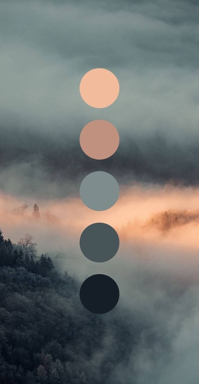 Как подобрать образ на фотосессию. Фотограф-анималист Анастасия Большакова
