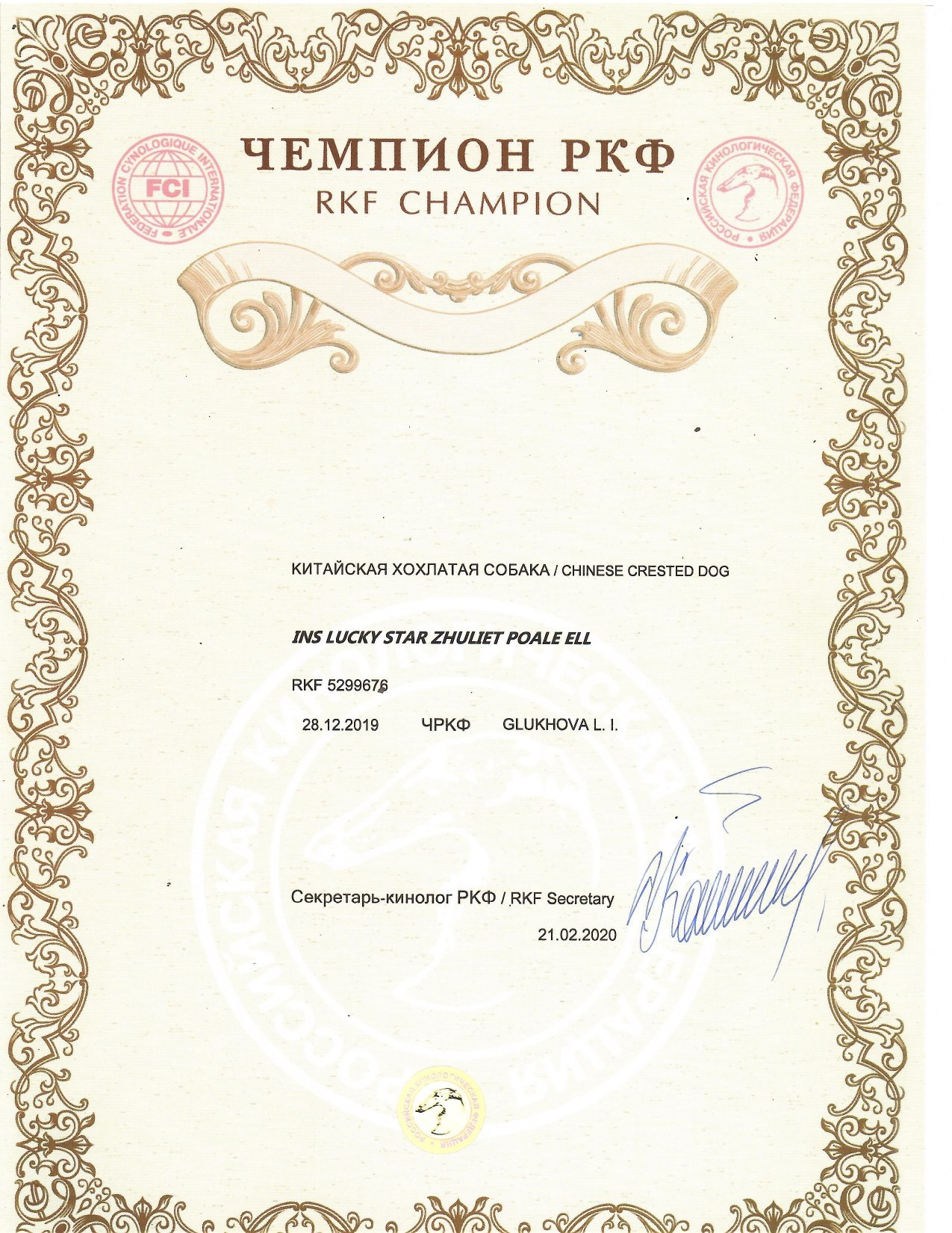 Ins Lucky Star Zhuliet Poale Ell. Питомник китайских хохлатых собак Poale Ell: купить щенка