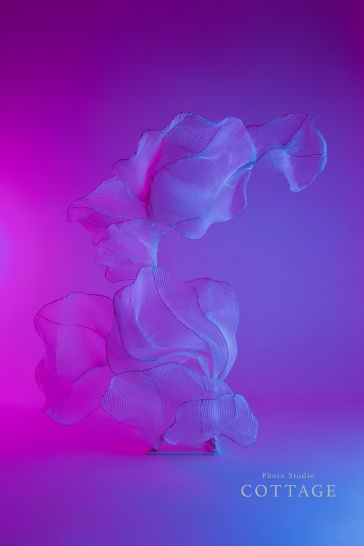 Зал Beauty. Фотограф беременных в СПб — Елена Александрова