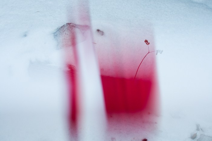 Archive ptoto projects. Янина болдырева Yanina Boldyreva