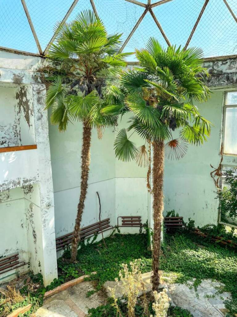 МЕСТА ДЛЯ ФОТОСЕССИИ В АНАПЕ. Свадебный и семейный фотограф/видеограф в Краснодаре Наталья Осинская