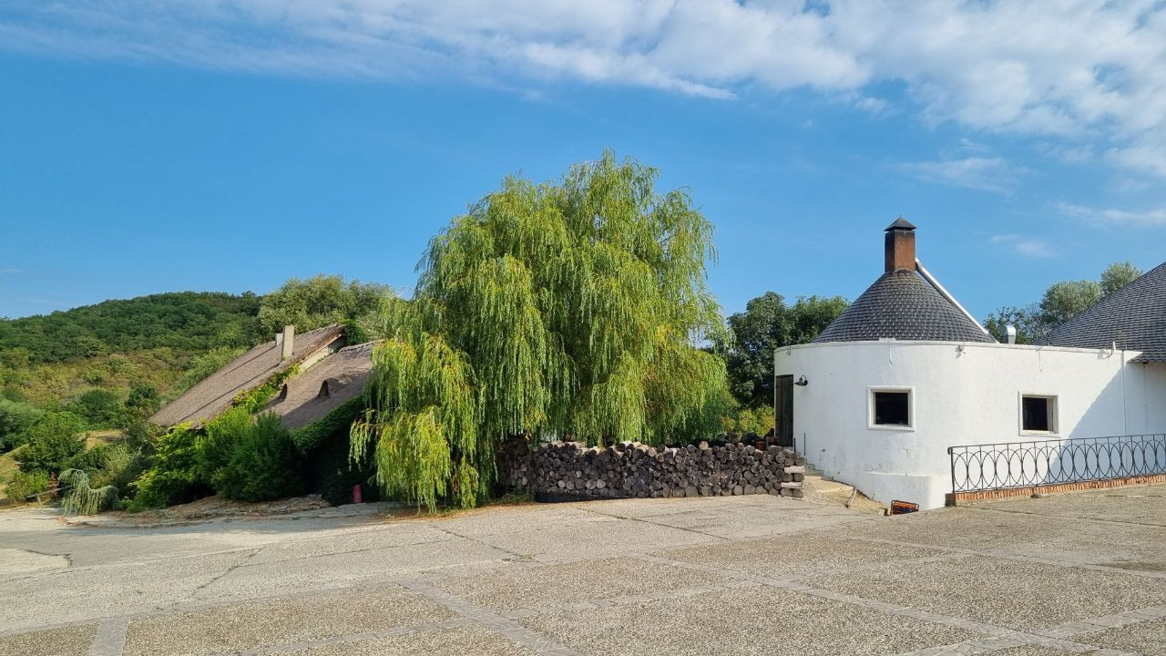 МЕСТА ДЛЯ ФОТОСЕССИИ В АНАПЕ. Свадебный и семейный фотограф/видеограф в Краснодаре Наталья Осинская
