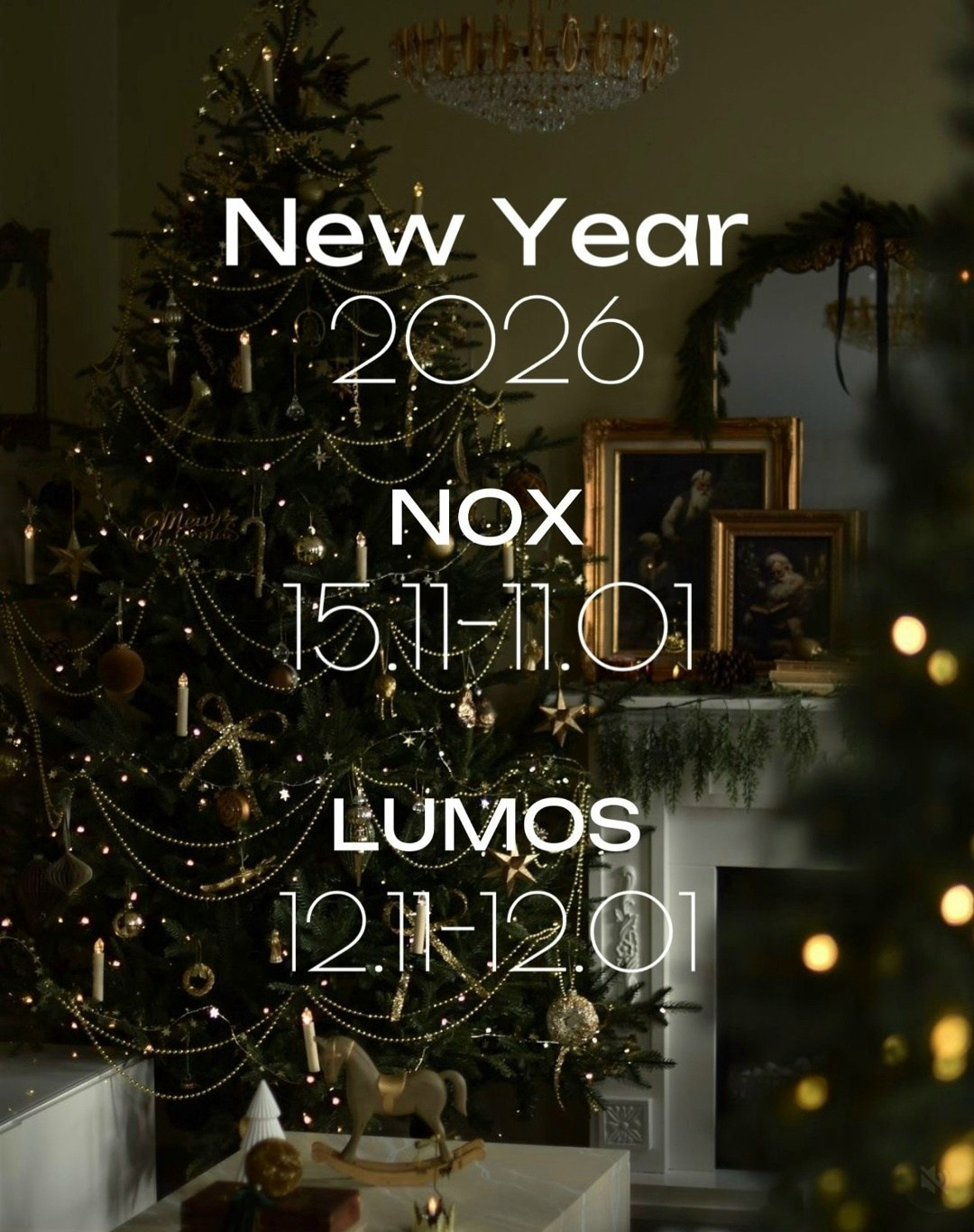 Новогодние фотосессии 2025-2026. Свадебный фотограф Катерина Корнева Красноярск