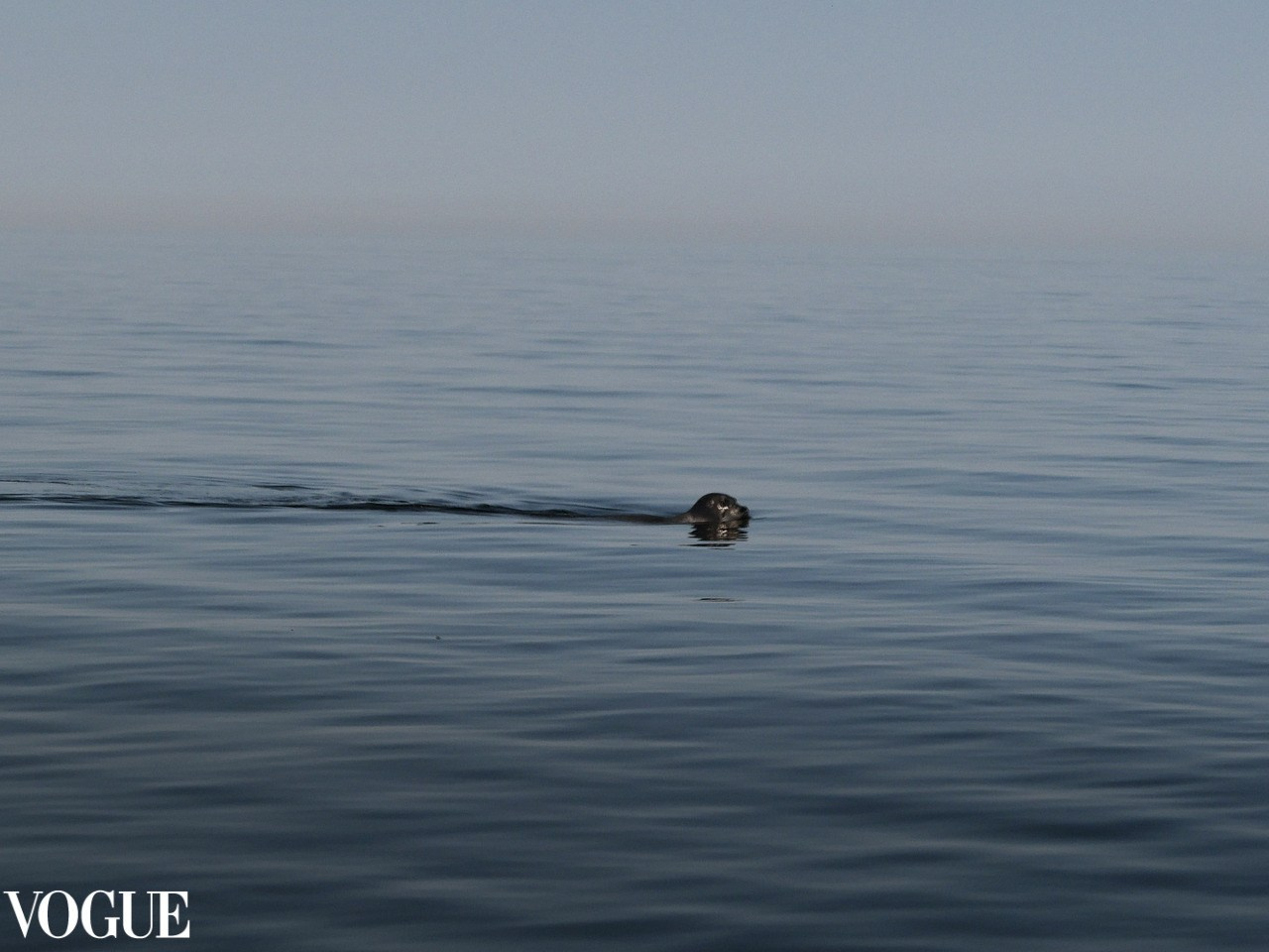 Марина Горбатова. Фотограф