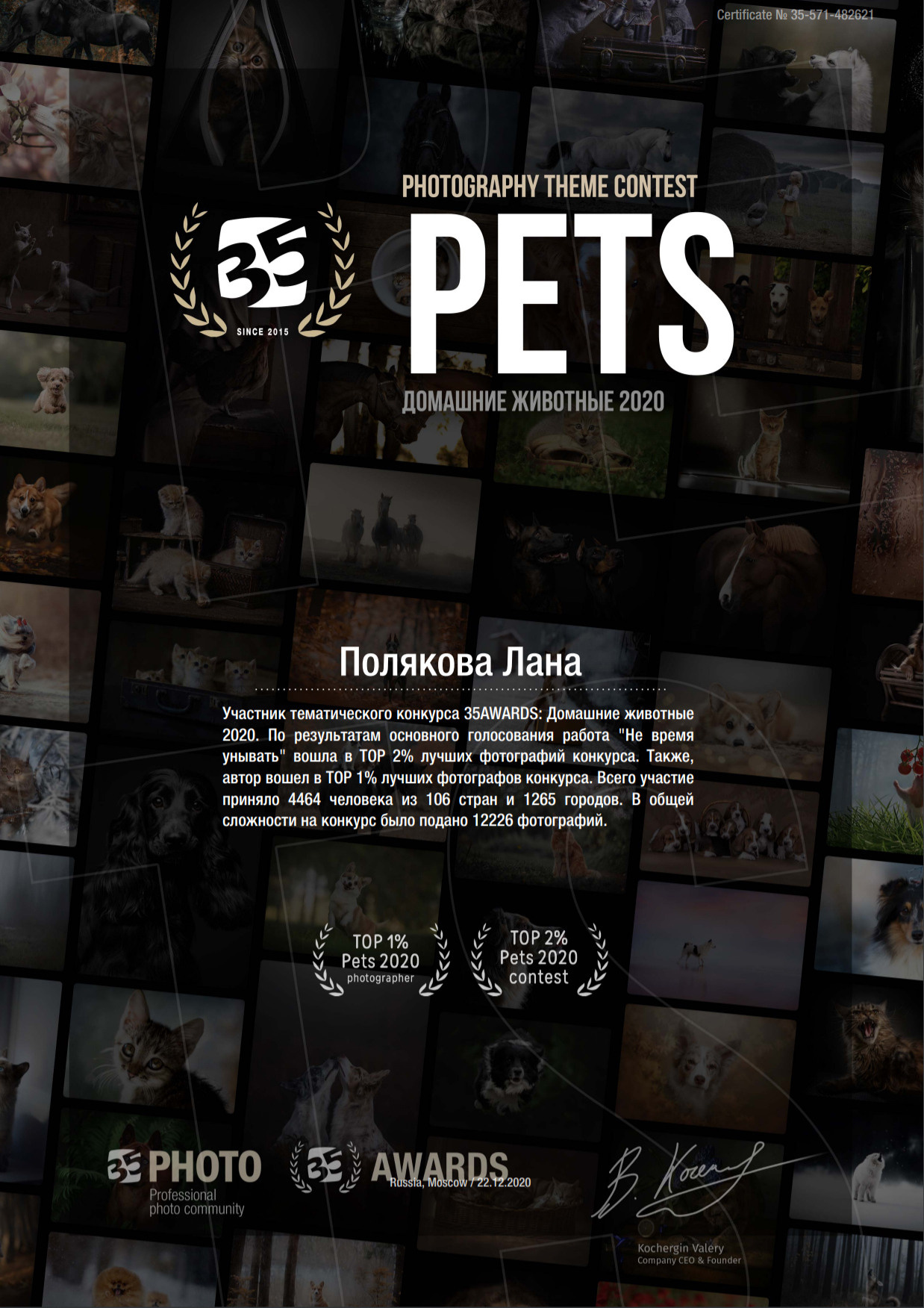 Итоги тематического конкурса 35AWARDS: Домашние животные 2020. ФОТОГРАФ-АНИМАЛИСТ l LANA POLYAKOVA