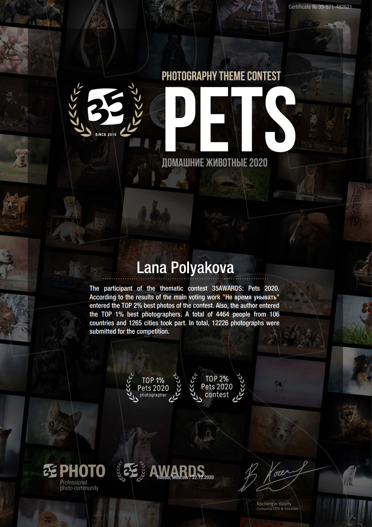 Итоги тематического конкурса 35AWARDS: Домашние животные 2020. ФОТОГРАФ-АНИМАЛИСТ l LANA POLYAKOVA