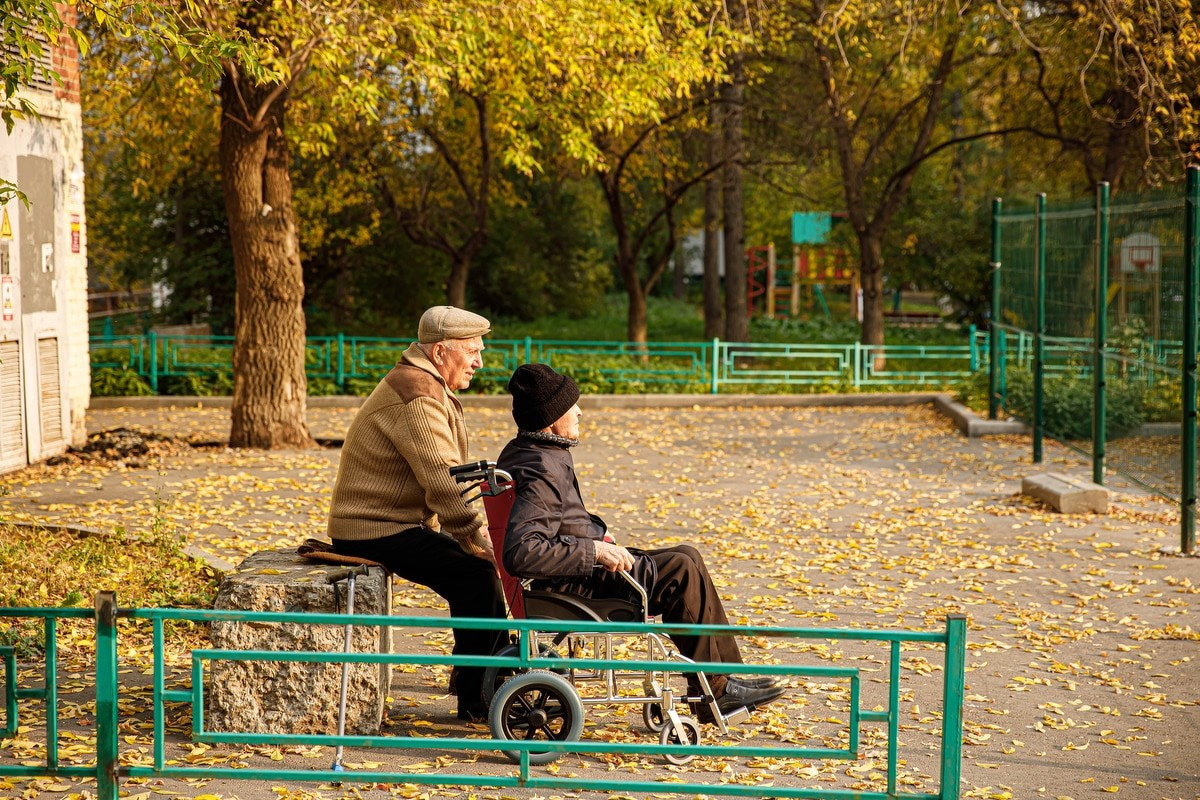 Урок «Гербарий» лэндинг