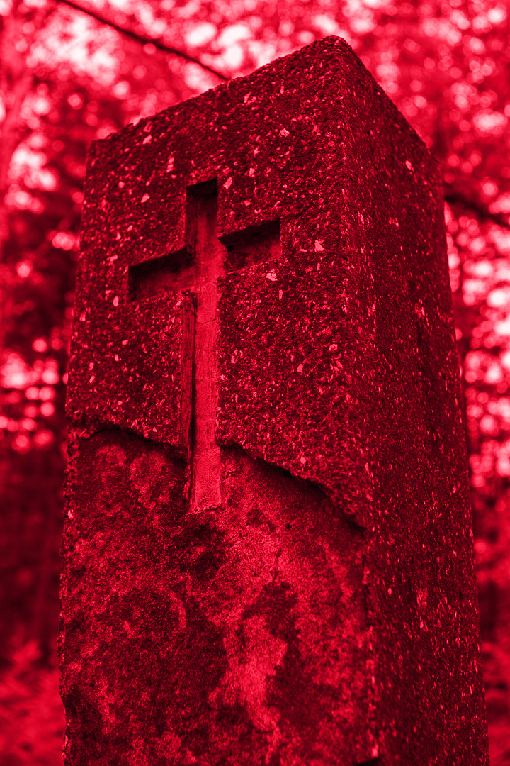 Сахалин, Даниил, Демкин, Даниил Демкин, Daniil, Demkin, Daniil Demkin, Sakhalin