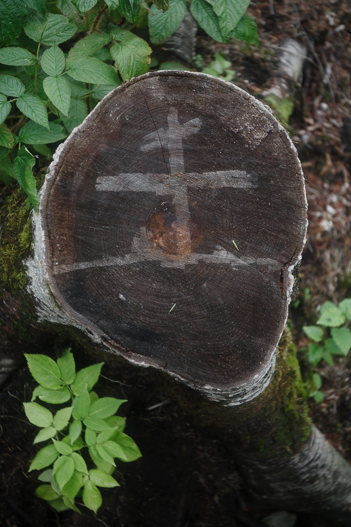 Сахалин, Даниил, Демкин, Даниил Демкин, Daniil, Demkin, Daniil Demkin, Sakhalin