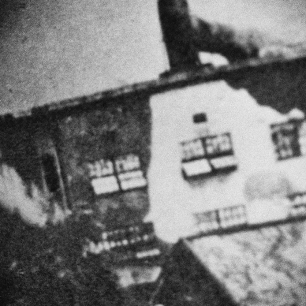 INTERVIEW WITH THE ARTIST: YOSHIKATSU FUJII. Самоорганизация Низина